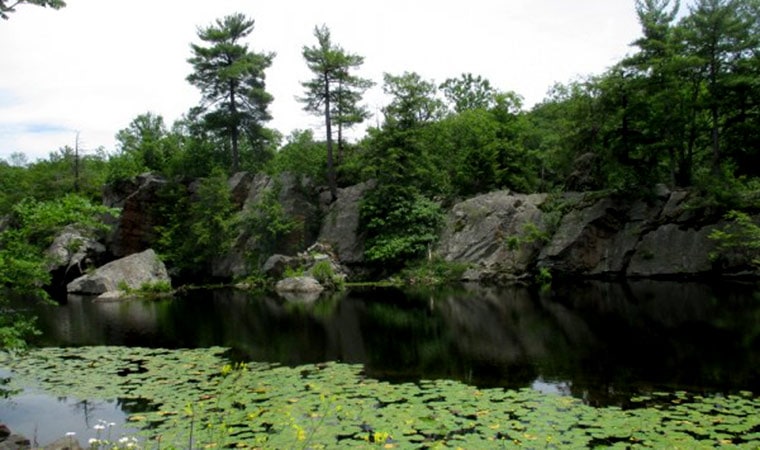 Burroughs Sanctuary